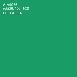 #1A9C66 - Elf Green Color Image