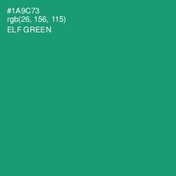 #1A9C73 - Elf Green Color Image