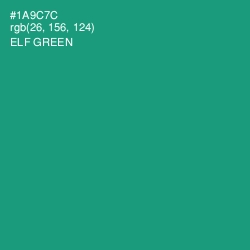 #1A9C7C - Elf Green Color Image