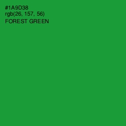 #1A9D38 - Forest Green Color Image