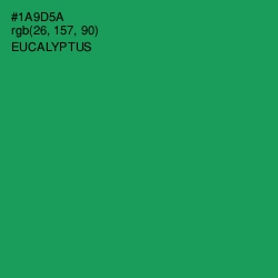 #1A9D5A - Eucalyptus Color Image