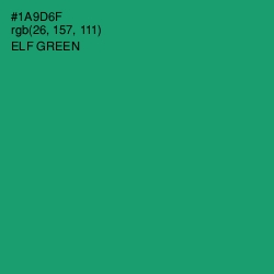 #1A9D6F - Elf Green Color Image