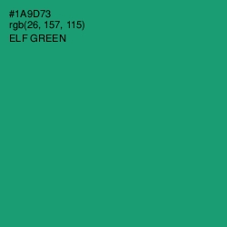 #1A9D73 - Elf Green Color Image