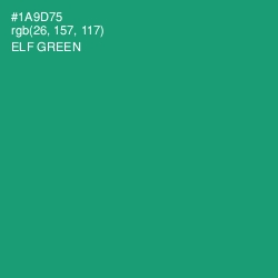 #1A9D75 - Elf Green Color Image