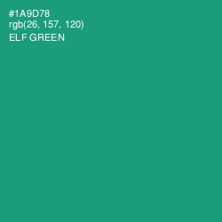 #1A9D78 - Elf Green Color Image