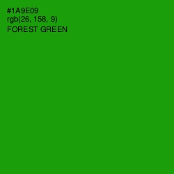 #1A9E09 - Forest Green Color Image