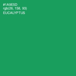 #1A9E5D - Eucalyptus Color Image