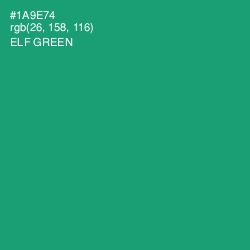 #1A9E74 - Elf Green Color Image