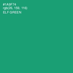 #1A9F74 - Elf Green Color Image