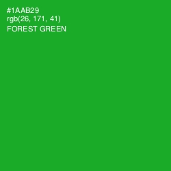 #1AAB29 - Forest Green Color Image