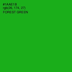 #1AAE1B - Forest Green Color Image