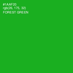 #1AAF20 - Forest Green Color Image