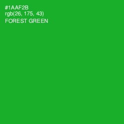 #1AAF2B - Forest Green Color Image
