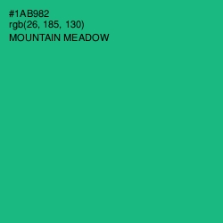 #1AB982 - Mountain Meadow Color Image
