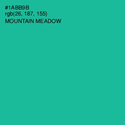 #1ABB9B - Mountain Meadow Color Image