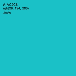 #1AC2C8 - Java Color Image