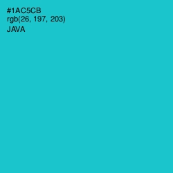 #1AC5CB - Java Color Image