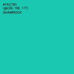 #1AC7B1 - Shamrock Color Image