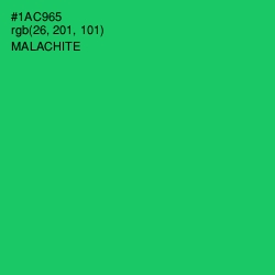 #1AC965 - Malachite Color Image