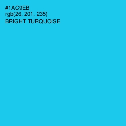 #1AC9EB - Bright Turquoise Color Image