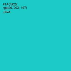 #1ACBC5 - Java Color Image