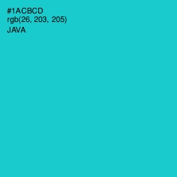 #1ACBCD - Java Color Image