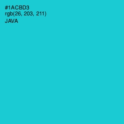 #1ACBD3 - Java Color Image
