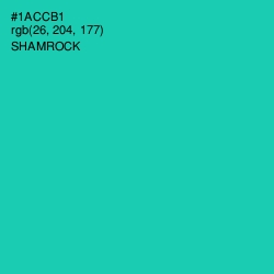 #1ACCB1 - Shamrock Color Image