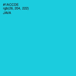 #1ACCDE - Java Color Image