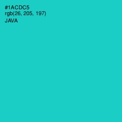 #1ACDC5 - Java Color Image