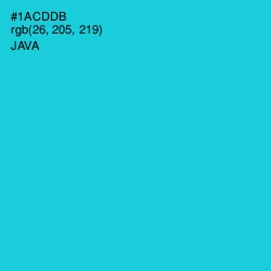 #1ACDDB - Java Color Image