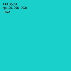 #1AD0CB - Java Color Image