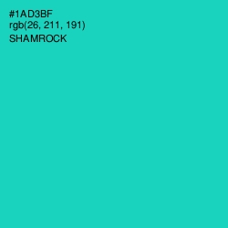 #1AD3BF - Shamrock Color Image