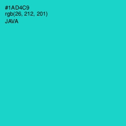 #1AD4C9 - Java Color Image