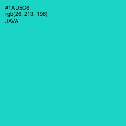 #1AD5C6 - Java Color Image