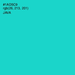 #1AD5C9 - Java Color Image