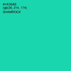 #1AD6AE - Shamrock Color Image