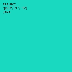 #1AD9C1 - Java Color Image