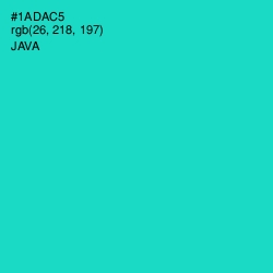 #1ADAC5 - Java Color Image