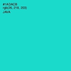 #1ADACB - Java Color Image