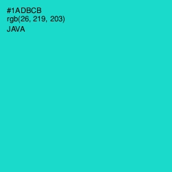 #1ADBCB - Java Color Image