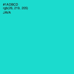 #1ADBCD - Java Color Image