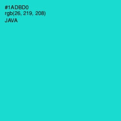 #1ADBD0 - Java Color Image