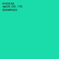 #1ADCAA - Shamrock Color Image