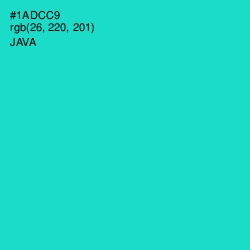 #1ADCC9 - Java Color Image