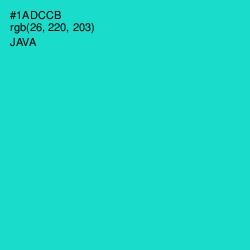 #1ADCCB - Java Color Image