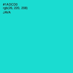 #1ADCD0 - Java Color Image