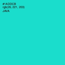 #1ADDCB - Java Color Image