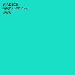 #1ADEC5 - Java Color Image