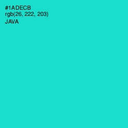 #1ADECB - Java Color Image